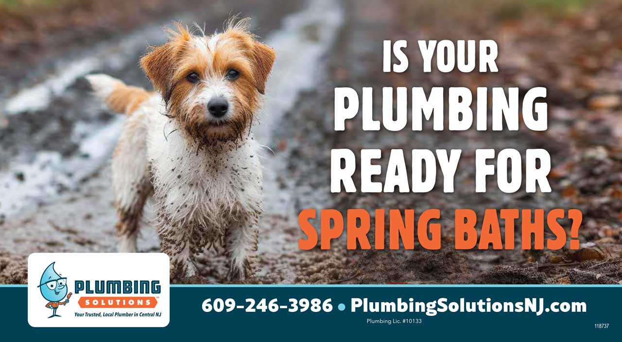 Plumbing Solutions Inc - April 2025 coupon - image of flooded basement with a dog holding a wrench and with the text, "I do sump pumps for April"